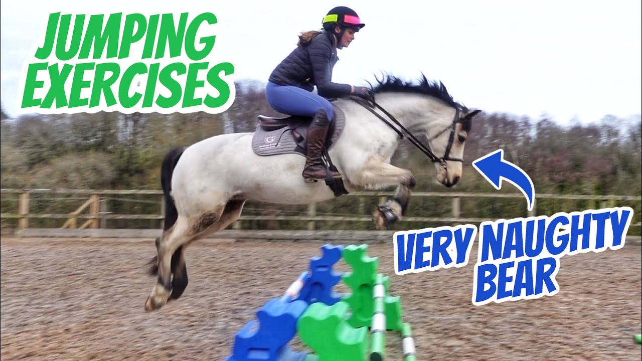 NEARLY FALLING OFF BEAR TRYING A NEW JUMPING EXERCISE ~ At home horse jumping exercise/straightness