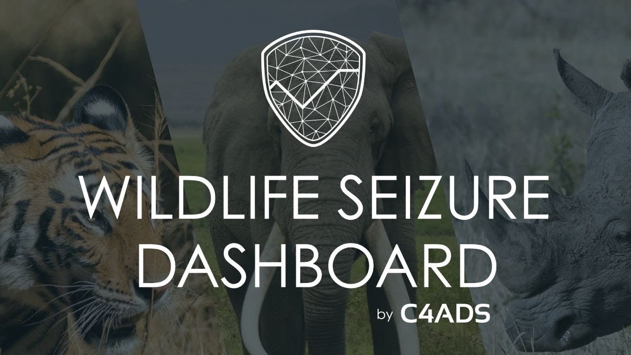 Tutorial: C4ADS Wildlife Seizure Dashboard (English)