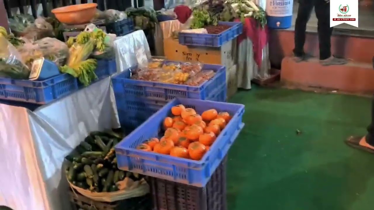 Jaivik Mahotsav 2025 | Organic Food Festival | Don't Miss This!