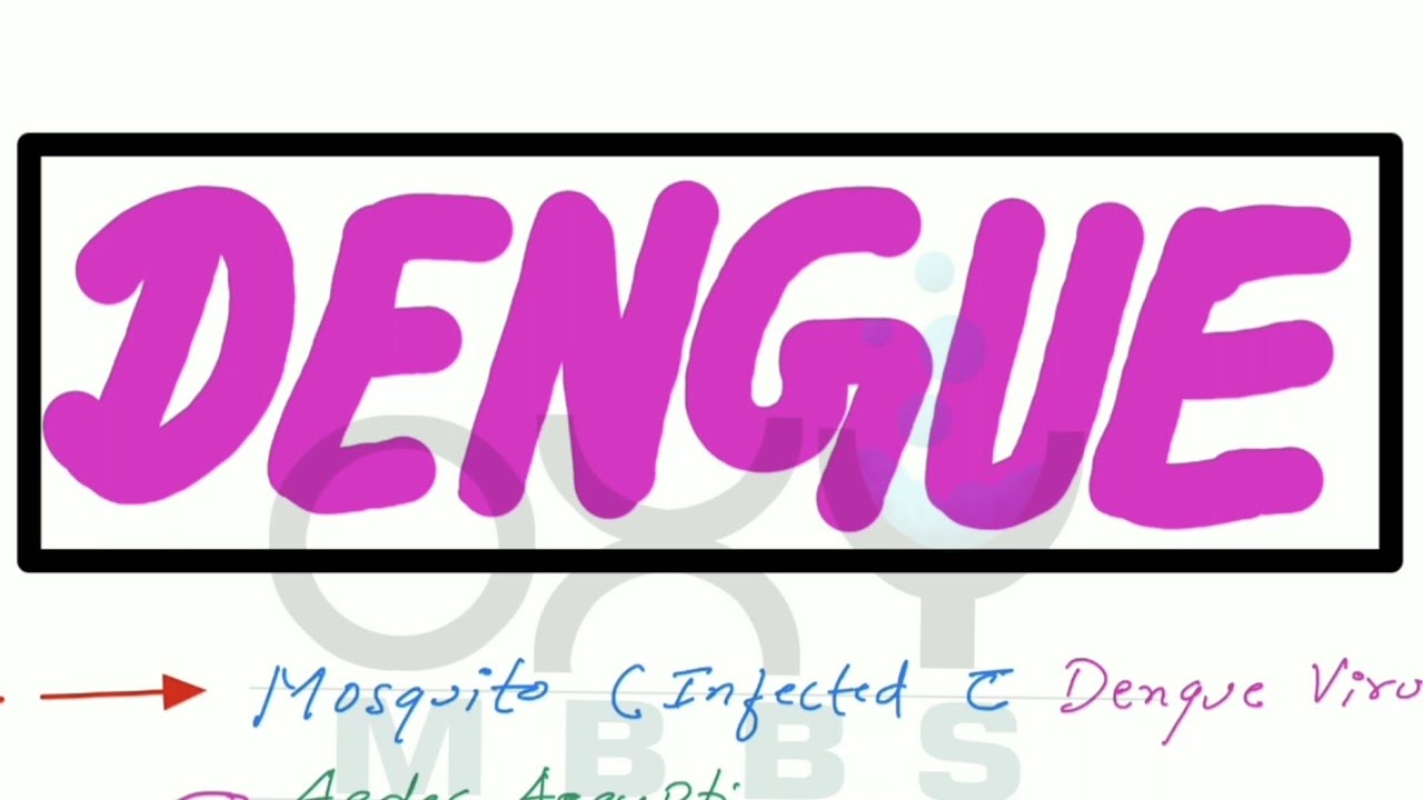 Dengue - Basics