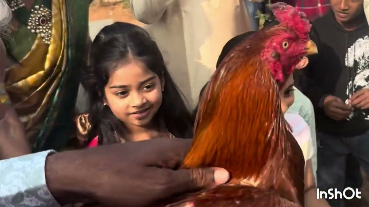 Sankranthi 2026
