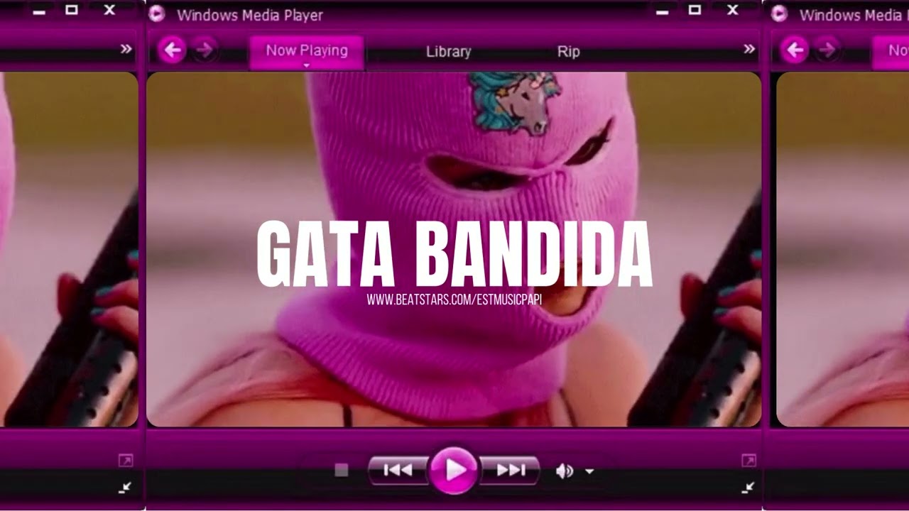 GATA BANDIDA |  Reggaeton Instrumental 2026 Type Beat