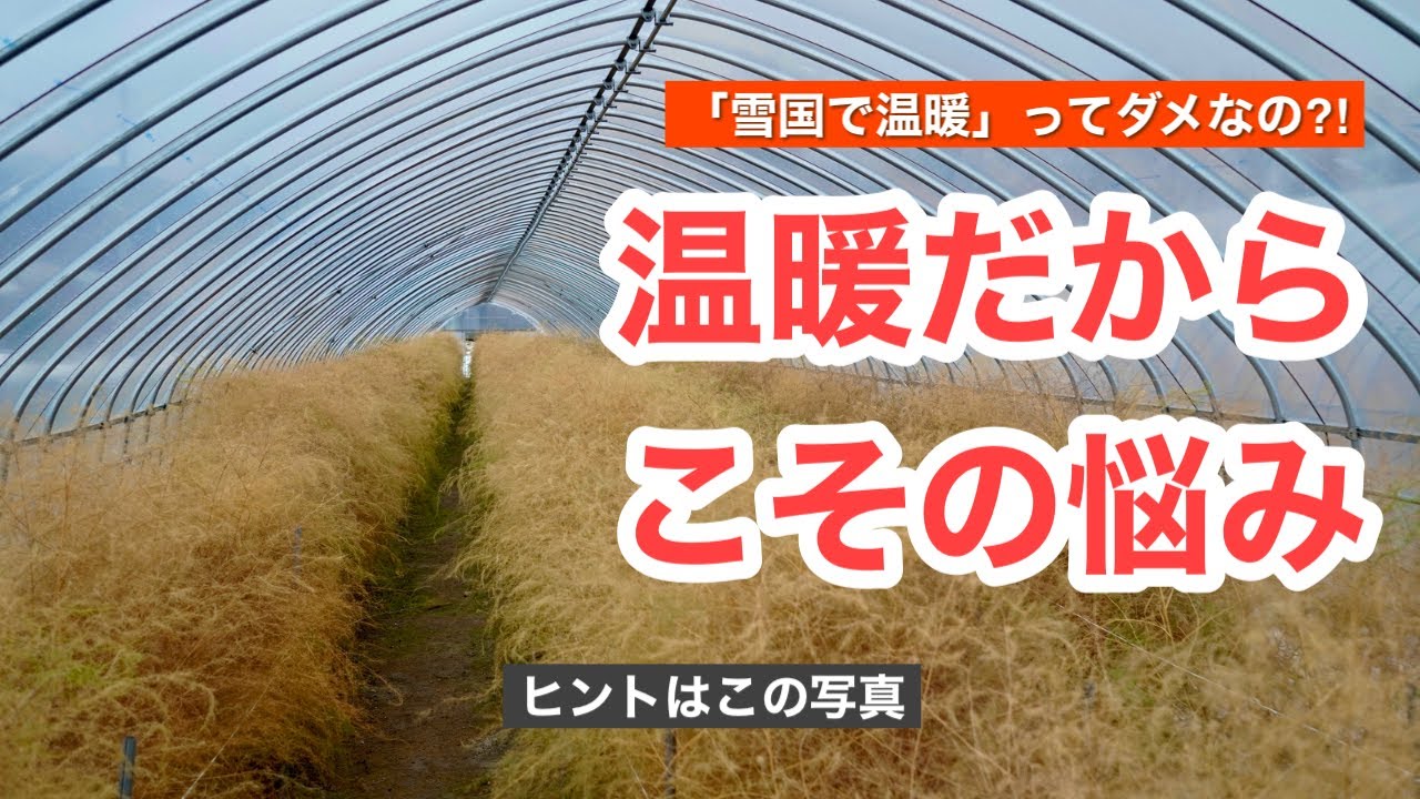 【北海道アスパラ栽培】「温暖だからこそ」予定通りにいかない話