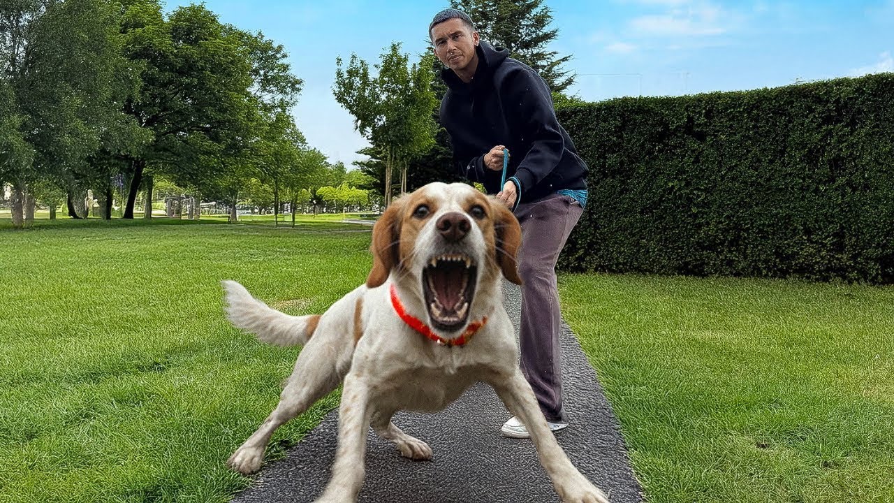 She’s Reactive and Aggressive… But We Didn’t Give Up on Her