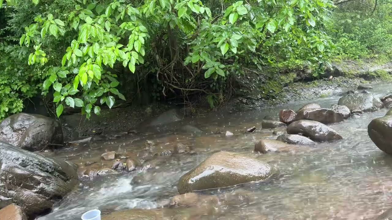 UNA BAJO LA LLUVIA ☔️  QUE FRÍO HACEEEE 😅