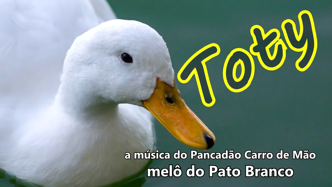 REGGAE MUSIC -  TOTY -  MEL&Ocirc; DE PATO BRANCO   (a m&uacute;sica do Pancad&atilde;o carro de M&atilde;o)