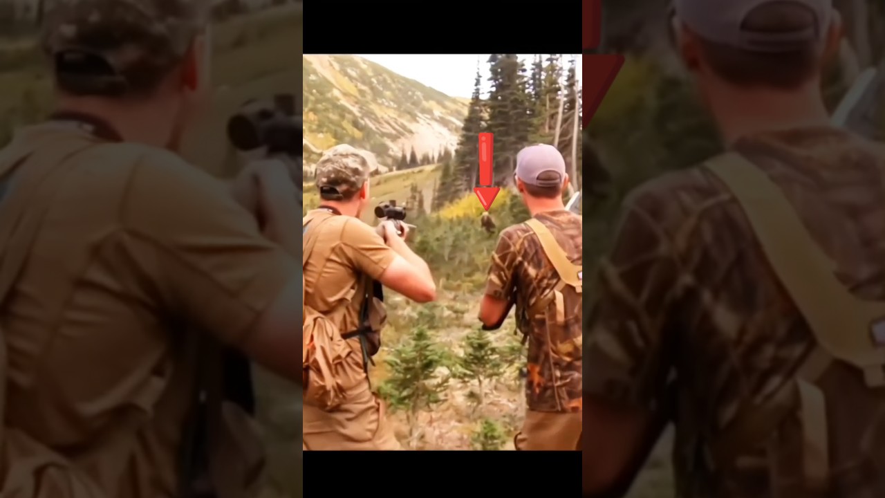One Shot &ndash; Grizzly Bear Hunt Alaska!#GrizzlyBear #BearHunting #AlaskaHunt