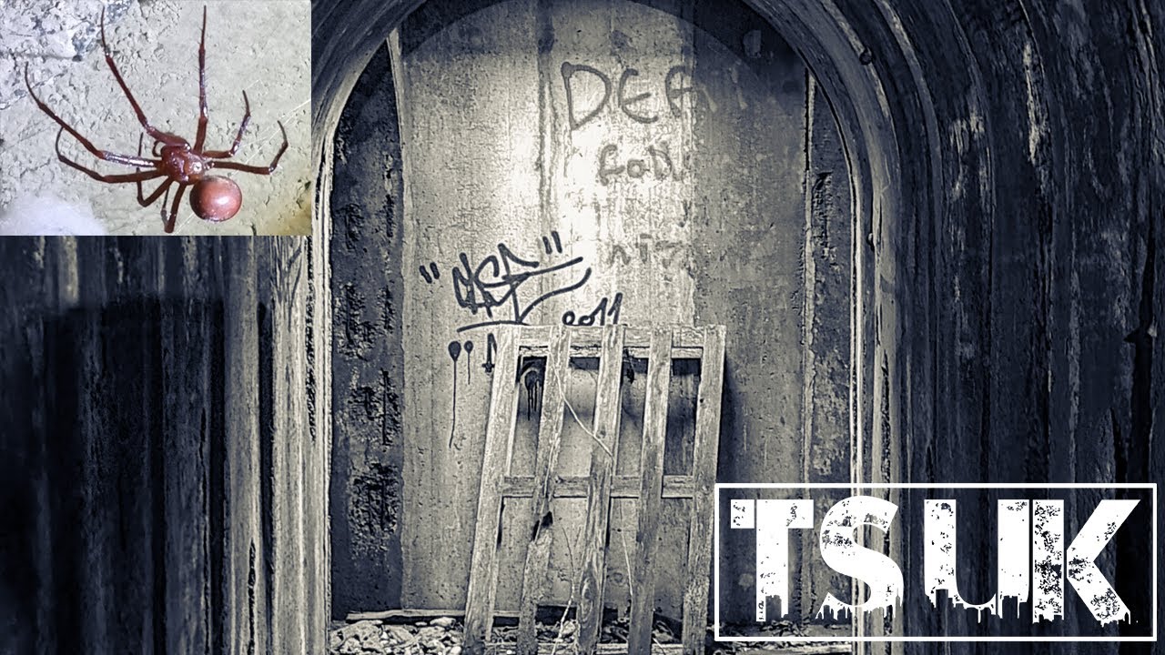 EXPLORING ABANDONED NEVER ENDING! TUNNEL OF SPIDERS