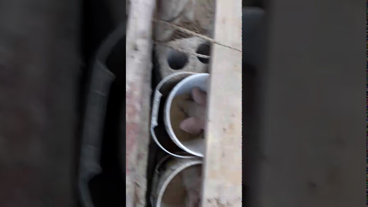 Comedero casero para cerdos lechones  f&aacute;cil y sencillo