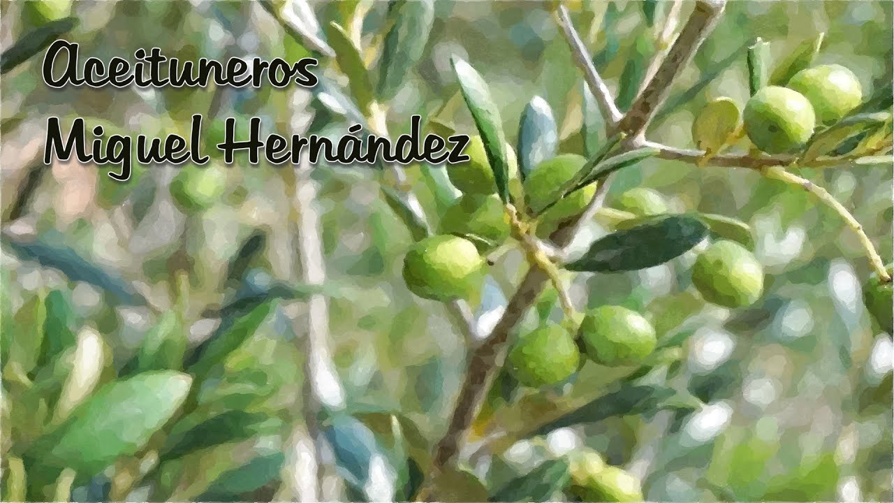 Aceituneros - Miguel Hernández