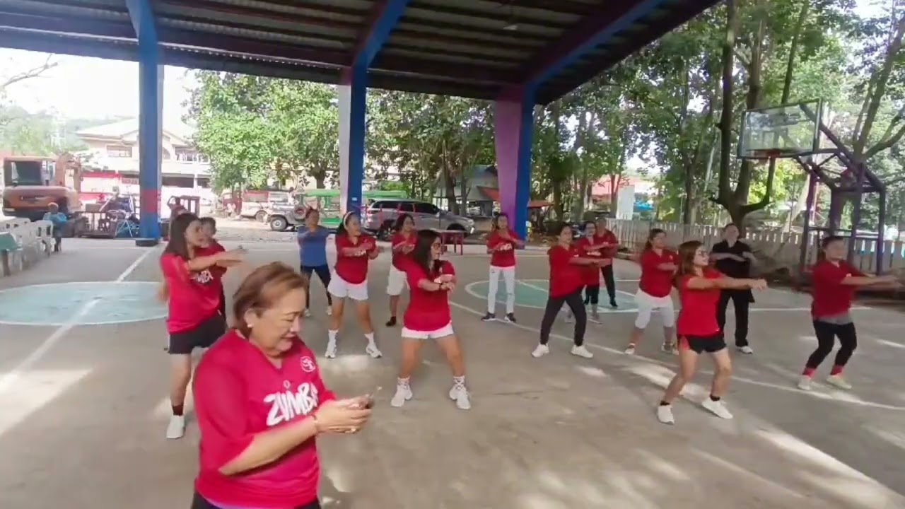 Shall We Dance Zumba Group
