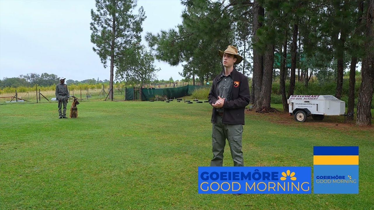 26 June 2025 - Goeiem&ocirc;re, Good Morning - Lifestyle - Braveheart Bio-Dog Academy