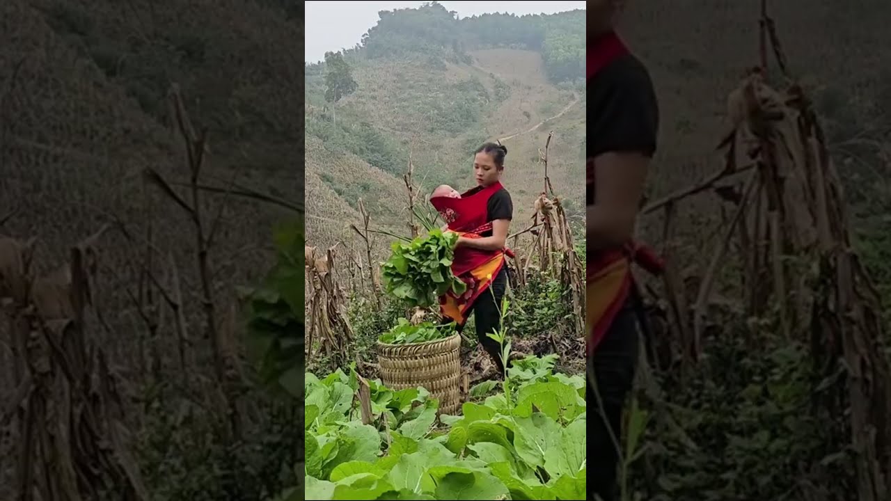 Endless Kindness of Mother: Helping Old People While Harvesting Vegetables | 17 Single Mother Life