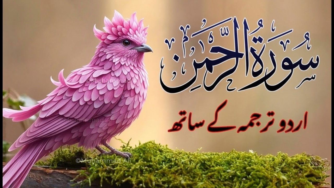 Surah Rahman With Urdu Translation | سورة الرحمن | Quran with Urdu and Hindi Translation | Ar-Rahman