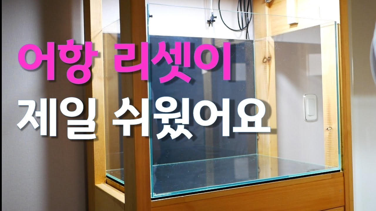 어항 리셋을 고민할 필요가 있나요? 리셋하고 바로 물잡아 버리면 되죠