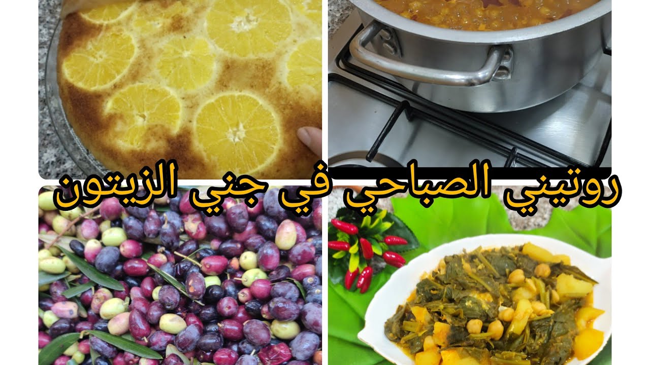روتيني الصباحي 😘وتحظير شطيطحت السلق 😋😋 مع جني الزيتون 🌿🌿🌿🌿🌿🌿