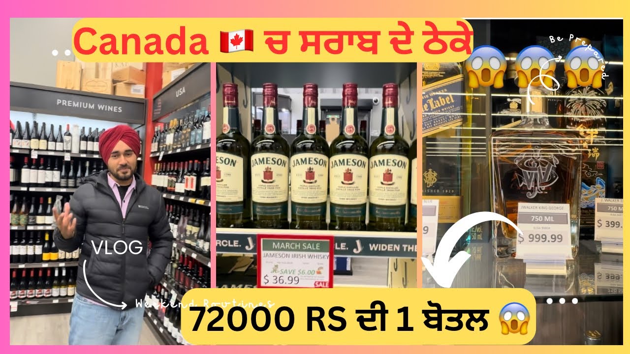 Liquor 🥃 stores in Canada 🇨🇦 / Theke te ghar pa leina 😀 Daru 🍺 in Canada #whiskey  #theka #beer