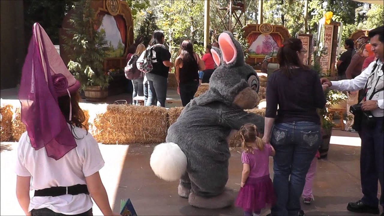 Thumper Meet & Greet - Disneyland - HD