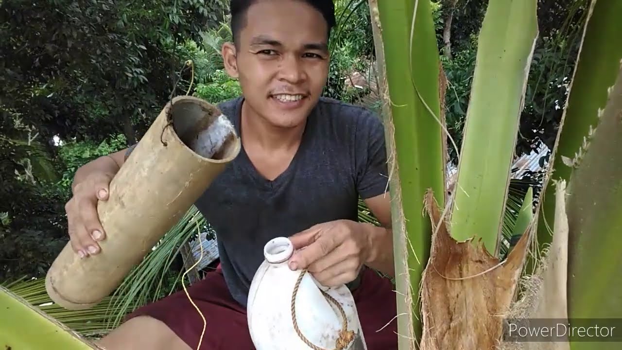 Part 5 how to make coconut wine step by step.