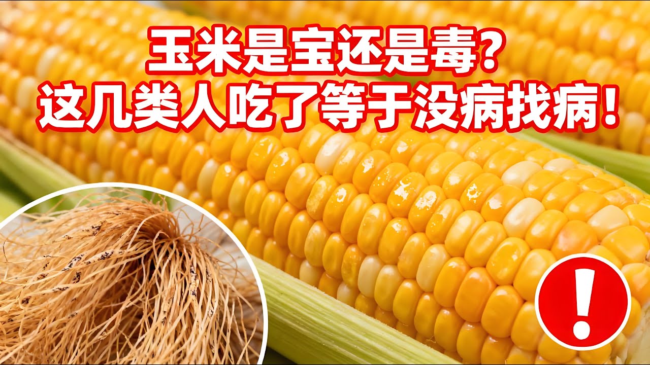 玉米的功效與禁忌全解析！常吃玉米對身體有啥好處？哪些人不能多吃？玉米須、玉米葉有啥用？#養生知識 #健康知識 #老年健康