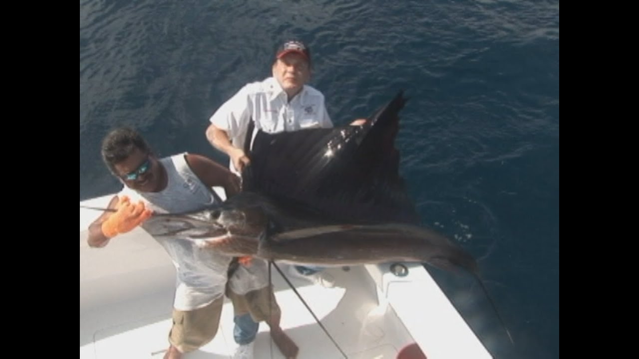 Sailfish in Costa Rica, 1 Big Fish Episode 26