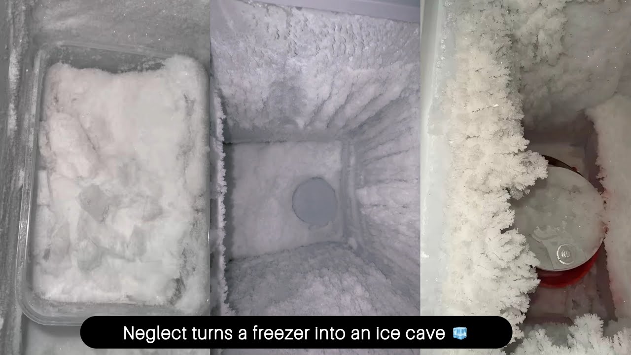 Frozen Freezer😋 Moisture + time = extreme ice build-up😌 Watch till the🔚 to 👀 what’s going on. ASMR❤️