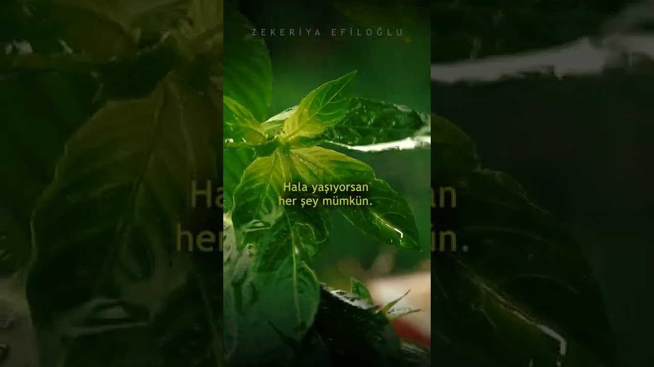 Sabret ey gönül...