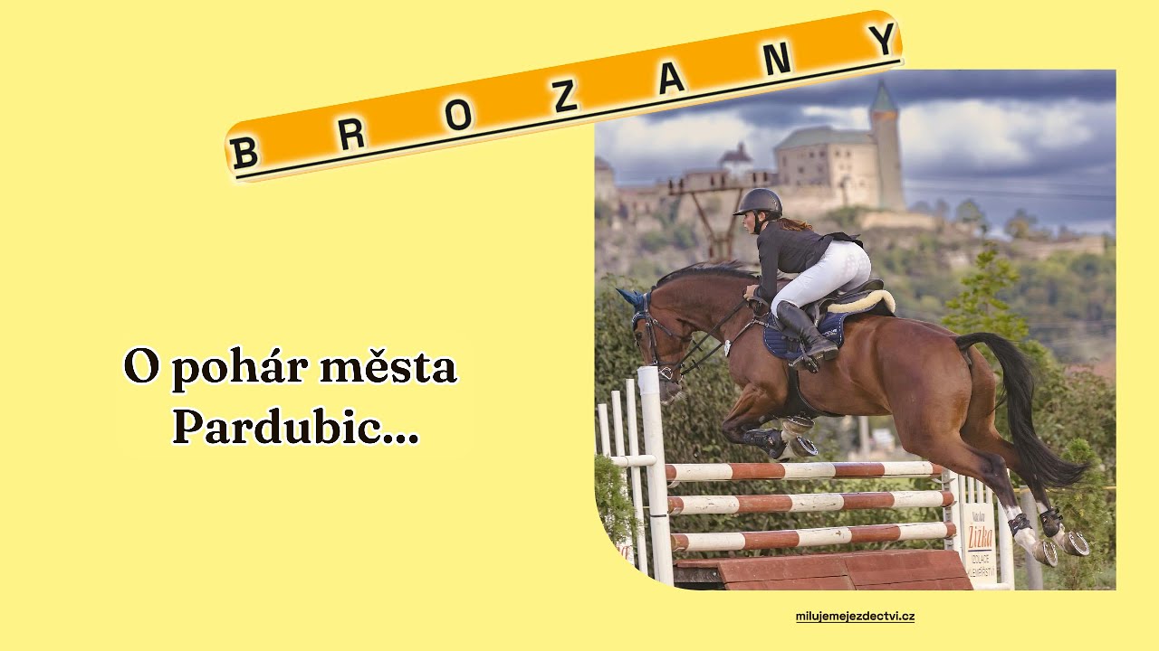 Brozany o poh&aacute;r města Pardubic