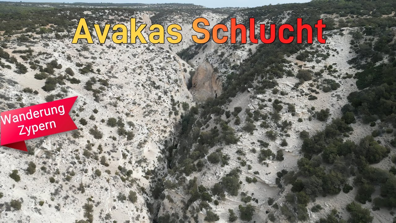 Avakas Schlucht Zypern – Atemberaubende Wanderung durch das Naturwunder der Akamas-Halbinsel