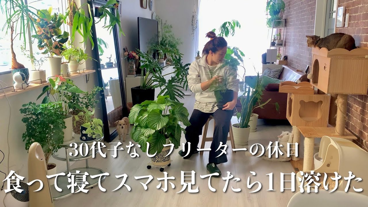 休日🍵夜中3時に反応する防犯カメラの動体検知…