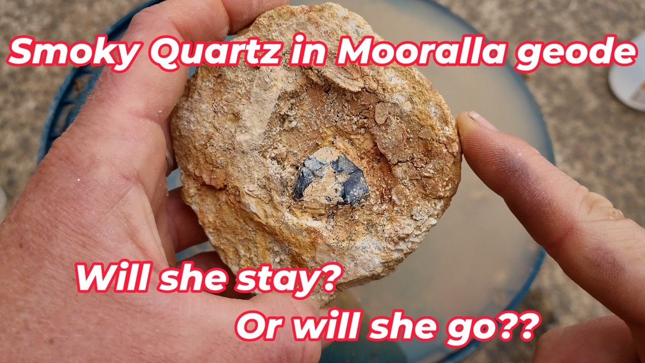 Will this smoky quartz crystal stay fixed inside its geode home? Or will it end in devastation??