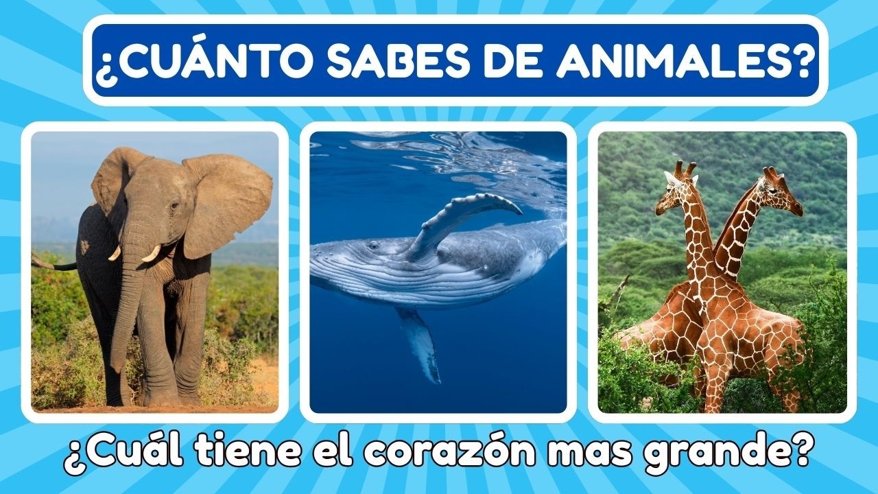 Pon a prueba tu cerebro con este quiz. Si aciertas más de 20, sabes mucho de animales