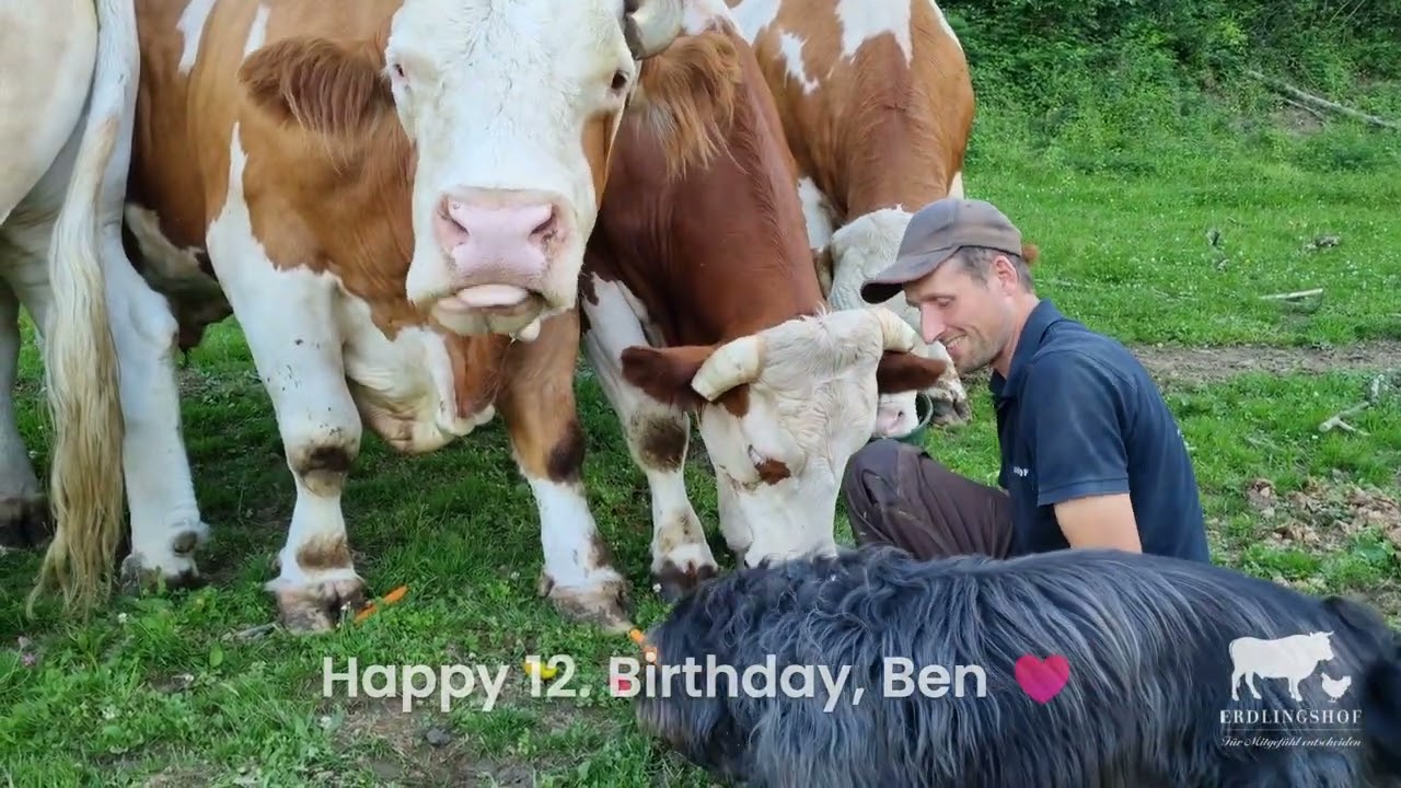 Kuhle Rinderparty an Bens 12. Geburtstag ♥️