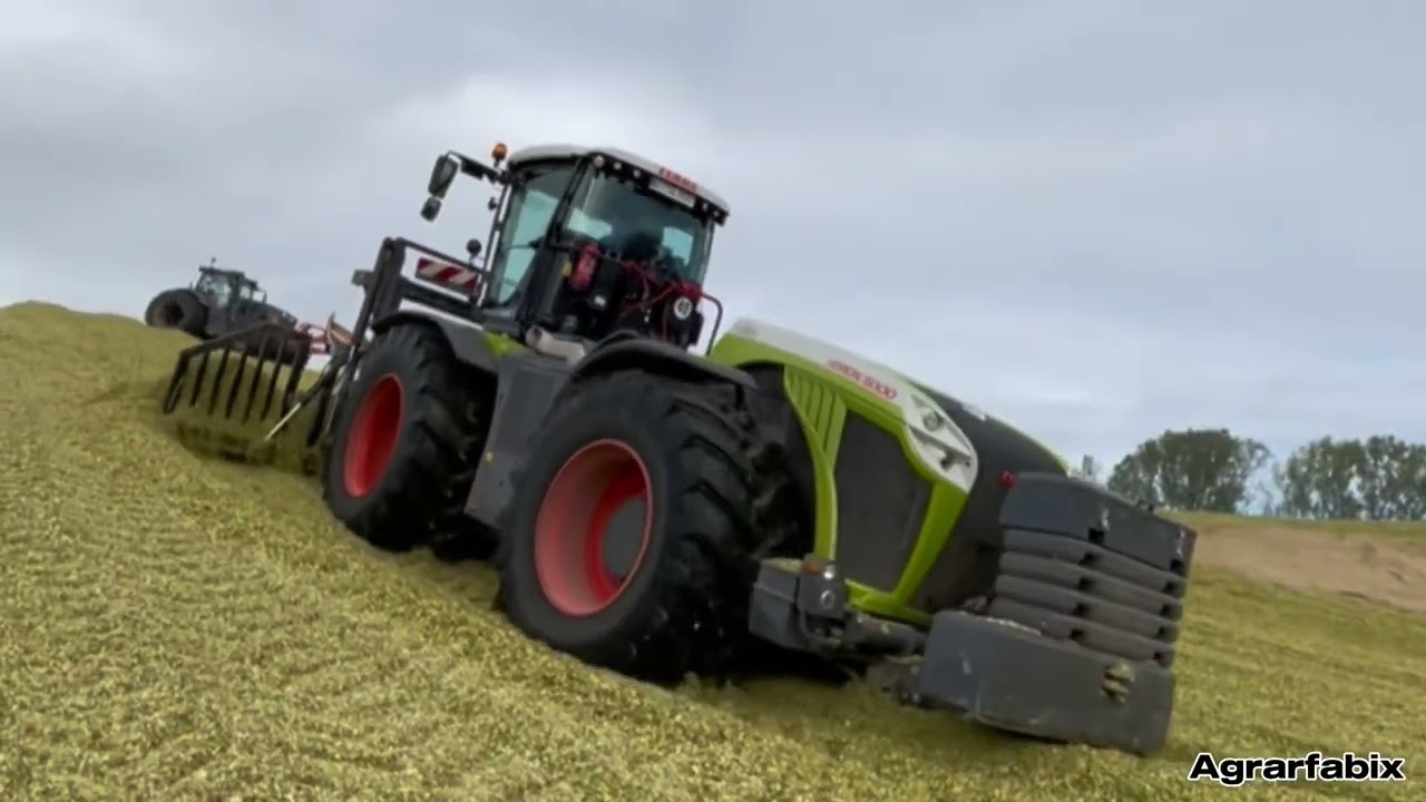 Maisernte 2024💪🏻🌽