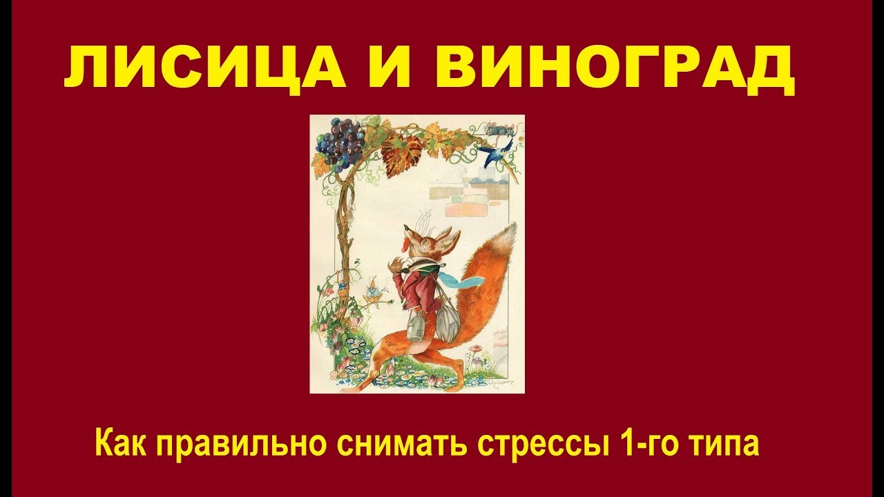 Басня Лисица и виноград – как снять стресс