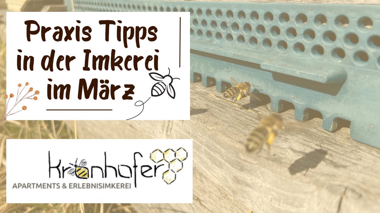 1. Praxis zu Salweiden-Blüte im März