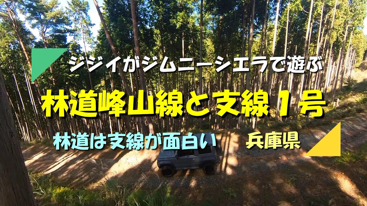 【ジムニー】シエラで林道峰山線から支線１号線を下ってきました　何処の林道も支線は楽しいです（兵庫県）