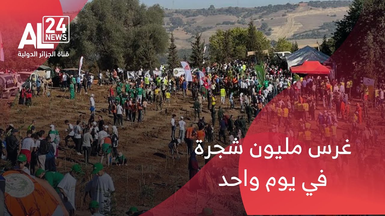 الجزائر | انطلاق أكبر حملة وطنية لغرس مليون شجرة في يوم واحد