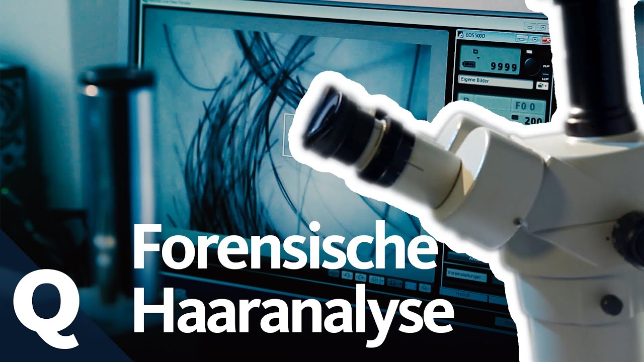 Haare als Informationsspeicher – Das zeigen Analysen im Kriminallabor | Quarks