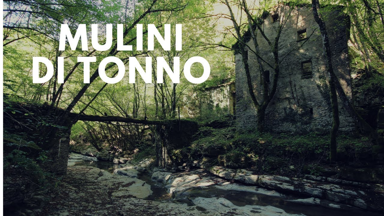 Frammenti di Storia: Mulini di Tonno, Valbrevenna (Parco dell'Antola)