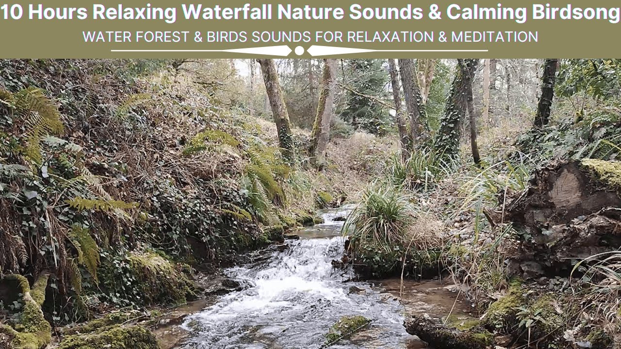10 Hours Relaxing Waterfall Nature Sounds & Calming Birdsong Sound of Water Forest For Relaxation