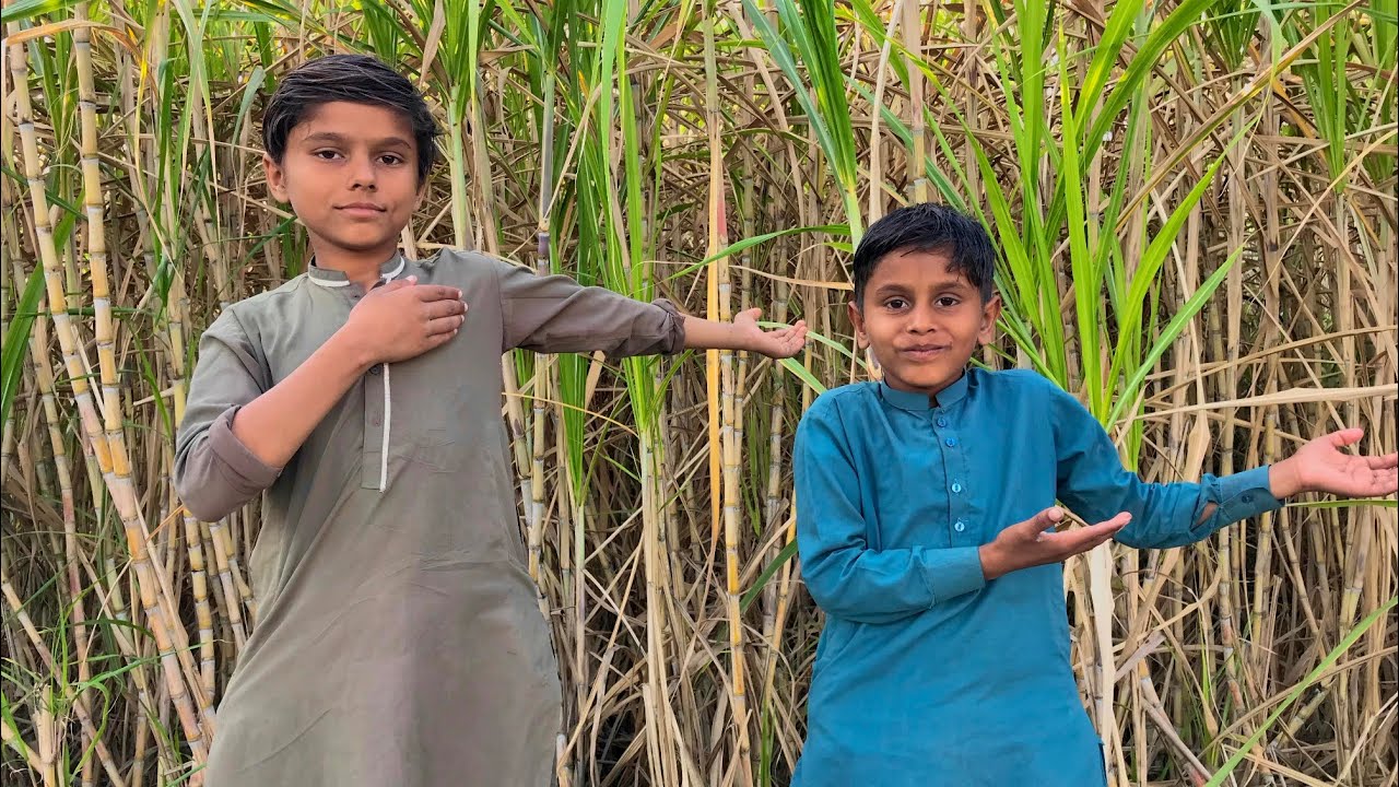 Humare Gane k Khet 🌲 Village Mai 