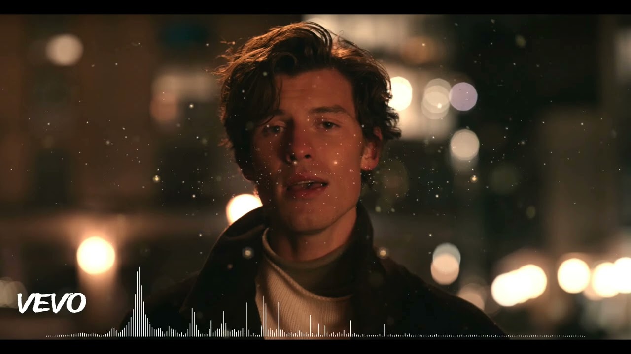 Shawn Mendes - It'll Be Okay (REMIX)