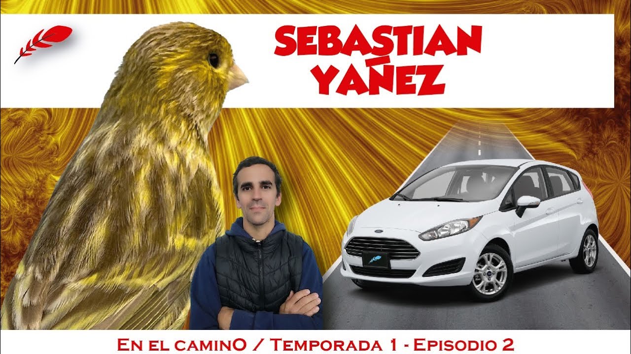 Visita al criadero de Sebastian Yañez