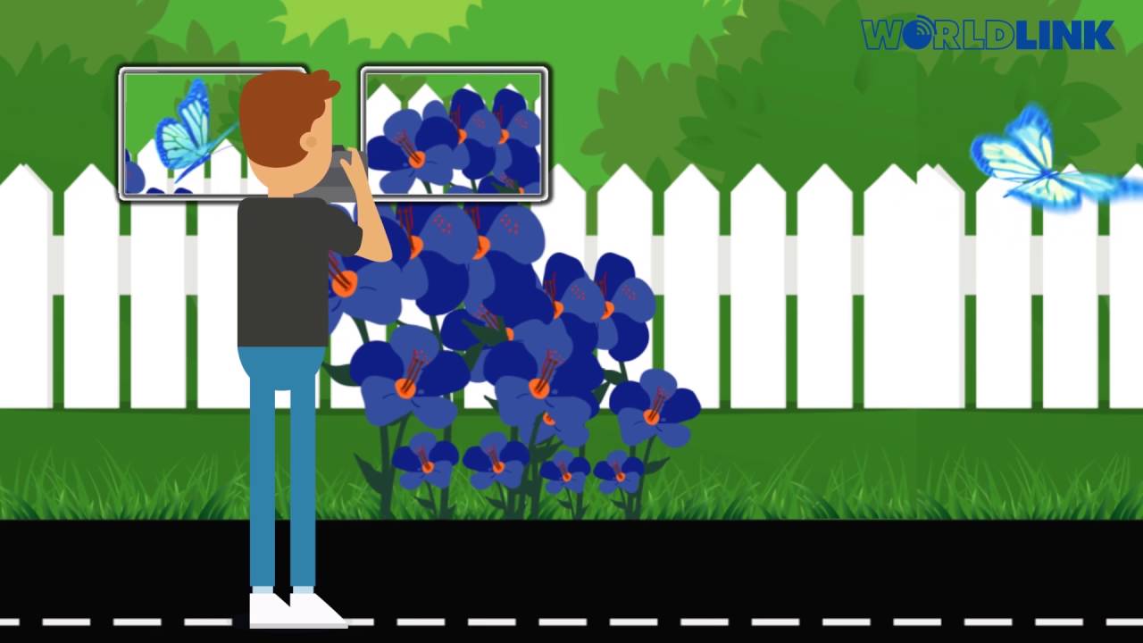 WorldLink Blue Campaign