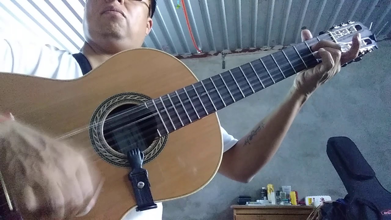 Son de La Negra (Mariachi Vargas de Tecalitlán) Jaime B. Cid (Guitarra)