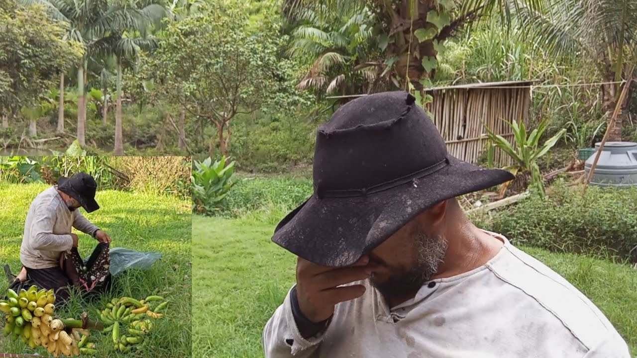 fartura de banana maçã fazendo doação,e um desabafo sobre mim