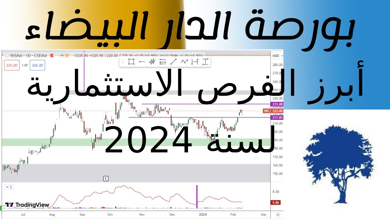 كيف تستثمر في بورصة الدار البيضاء لسنة 2024