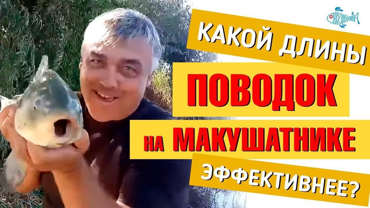 Какой длины поводок на макушатнике эффективнее? Проведем эксперимент от http://kleva.com.ua/