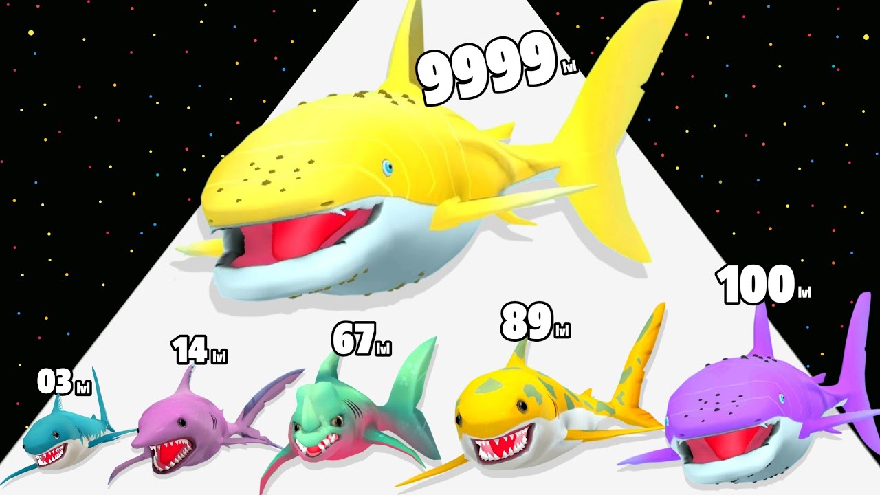 Shark Run 3D - Level Up Shark Max Level Gameplay
